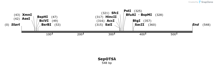 130130_map