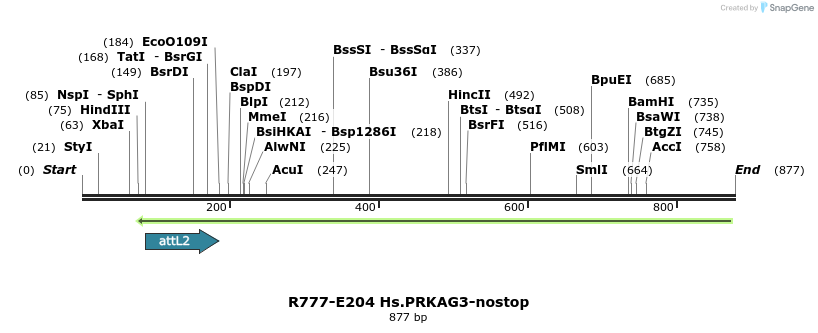 130131_map