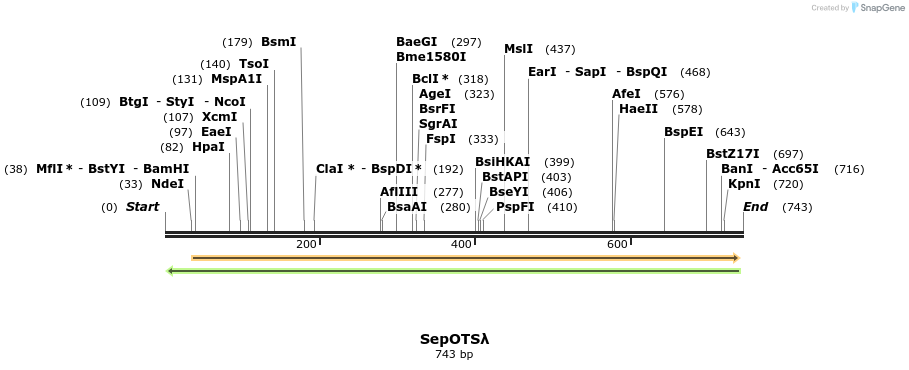 130133_map