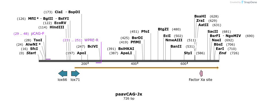130135_map