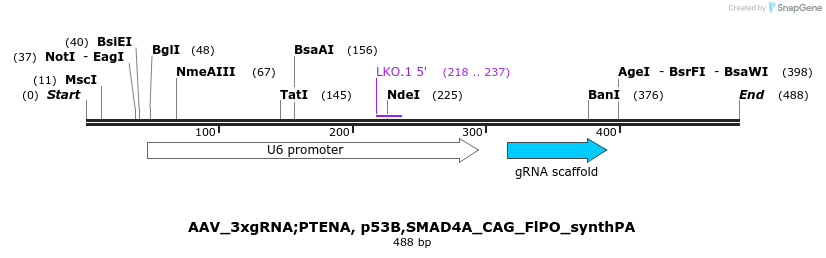 130137_map