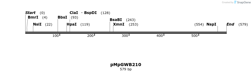 130142_map
