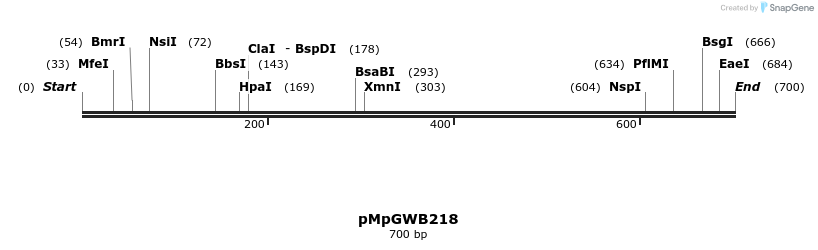 130143_map