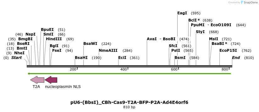 130148_map