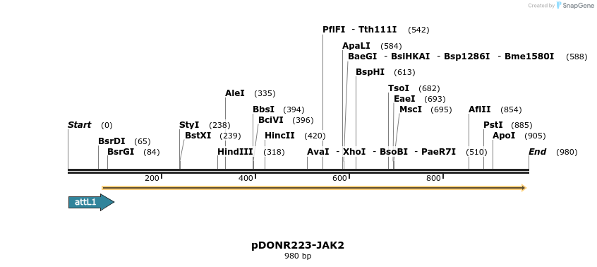 130149_map