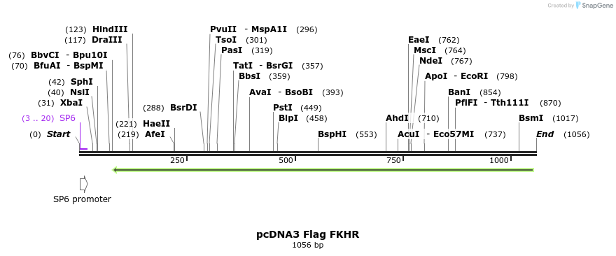 130150_map
