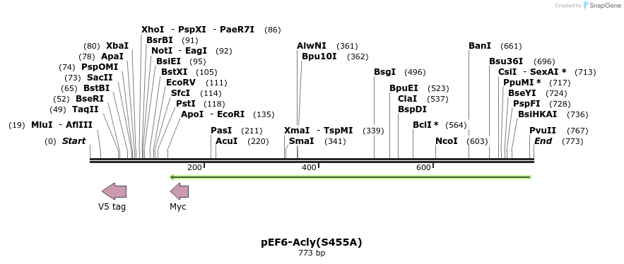 130173_map