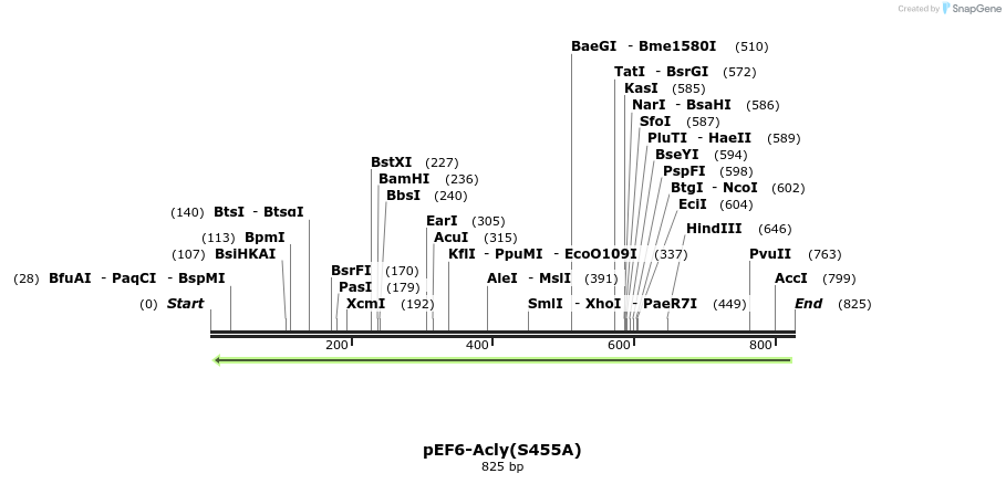 130175_map