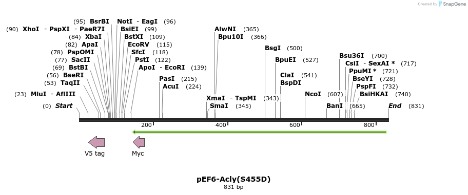 130178_map