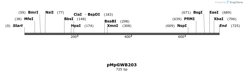 130180_map
