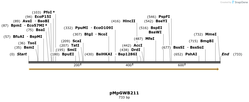 130182_map