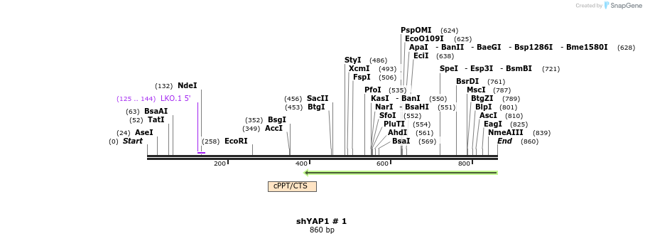 130188_map
