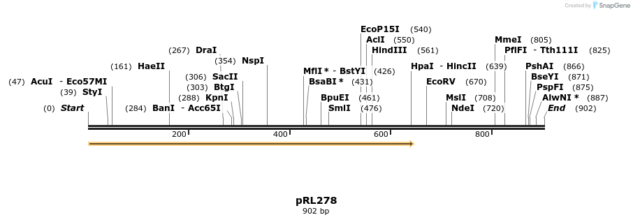 130192_map