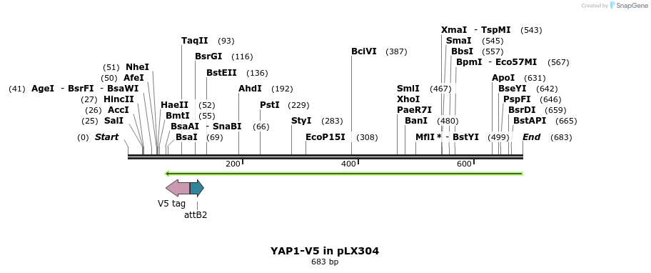 130193_map