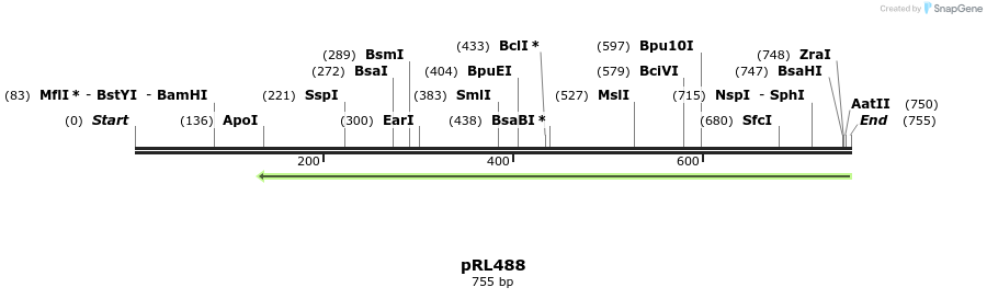 130195_map