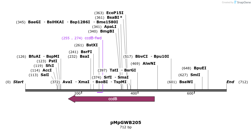 130196_map