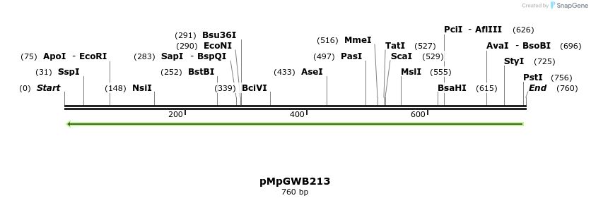130199_map