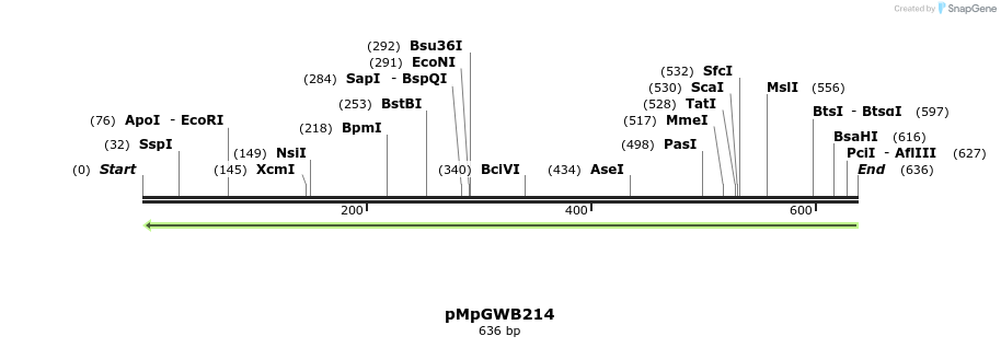 130202_map