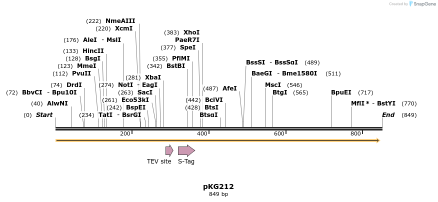 130242_map