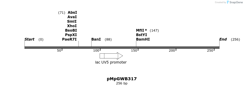 130247_map