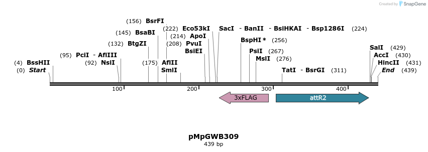 130248_map