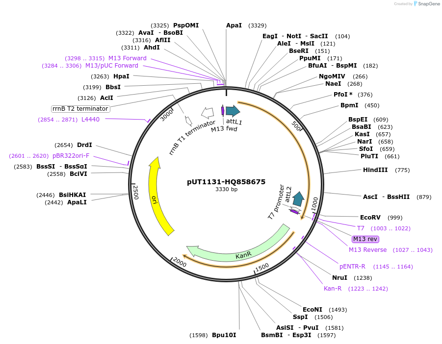 13025_map