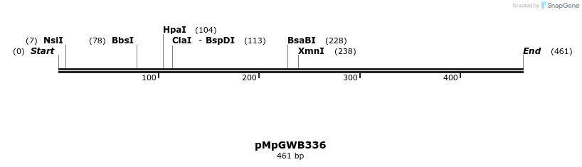 130259_map
