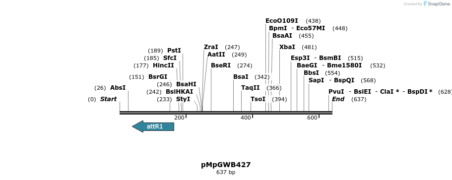 130263_map