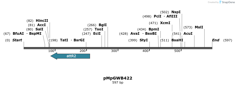130271_map