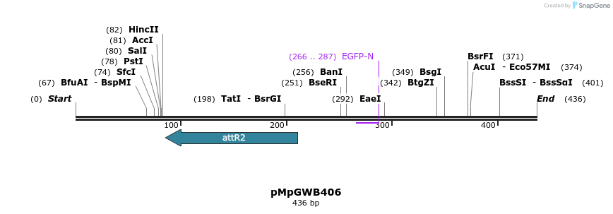 130272_map