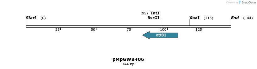 130273_map