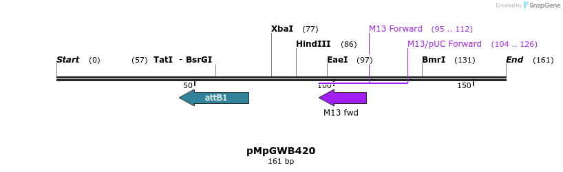 130276_map