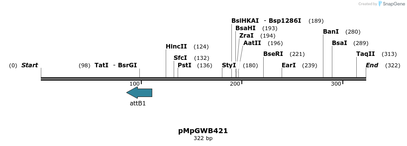 130279_map