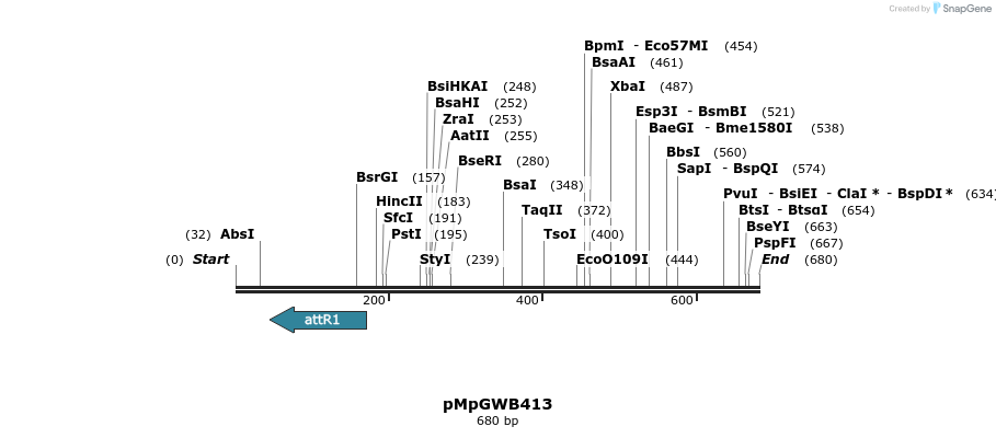 130281_map