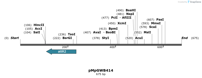 130283_map
