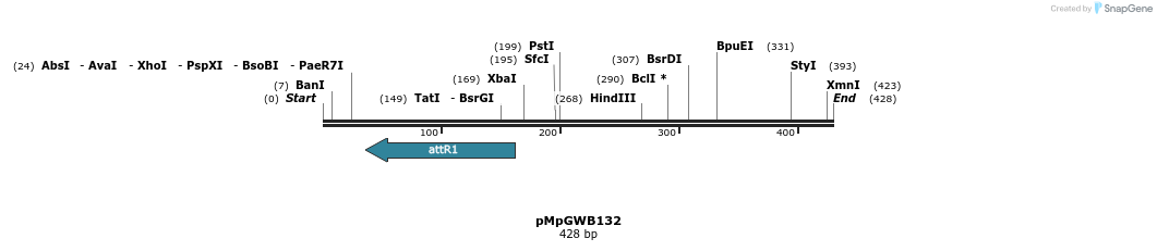 130296_map