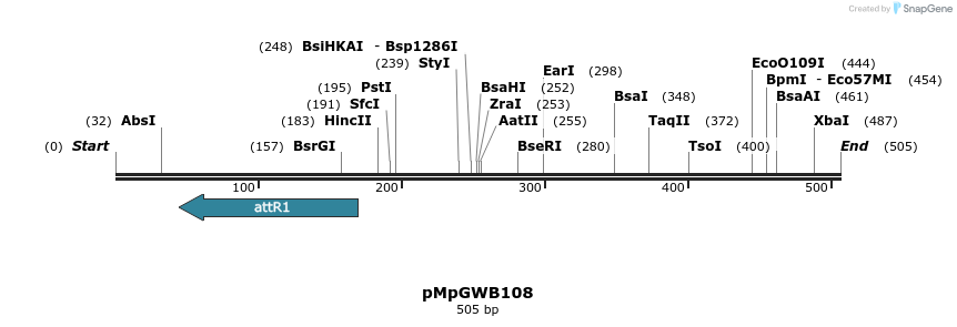 130299_map