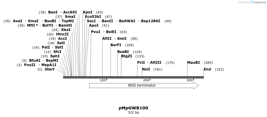 130303_map