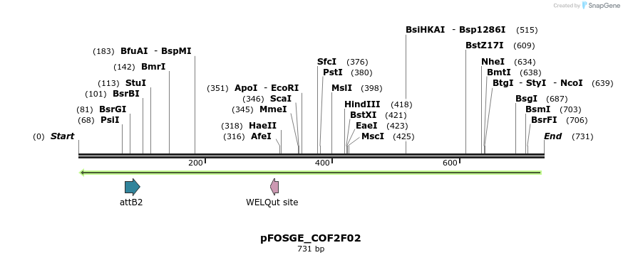 130318_map