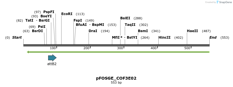 130333_map