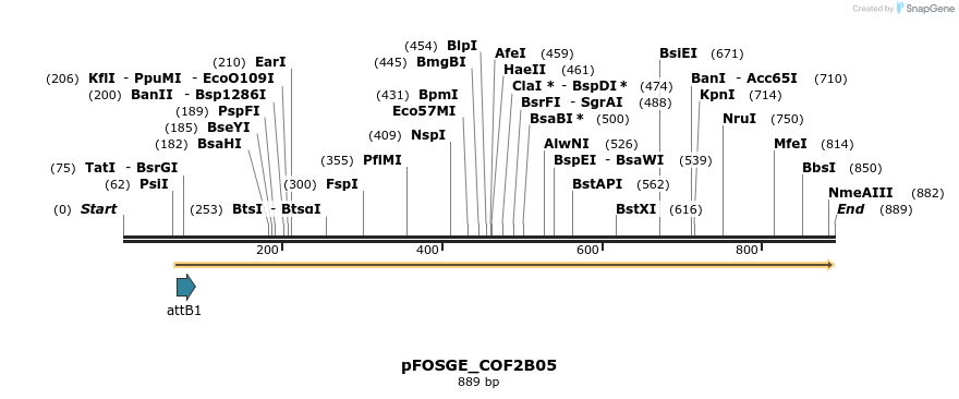 130337_map