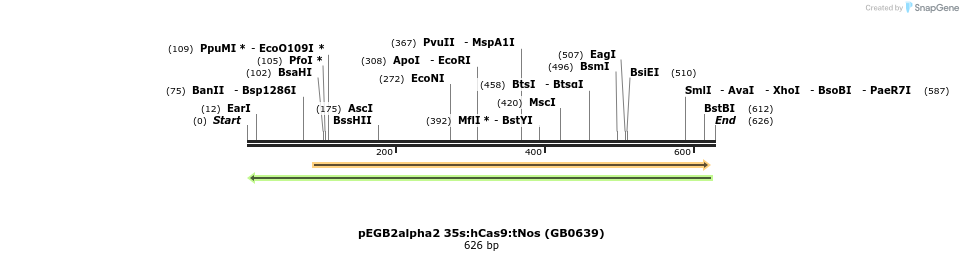 130342_map