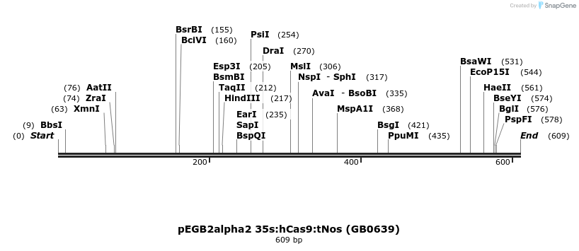 130343_map