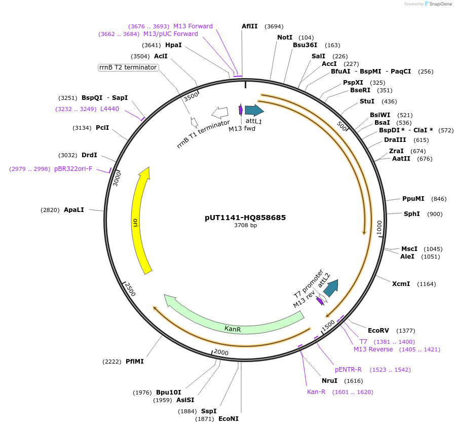 13035_map