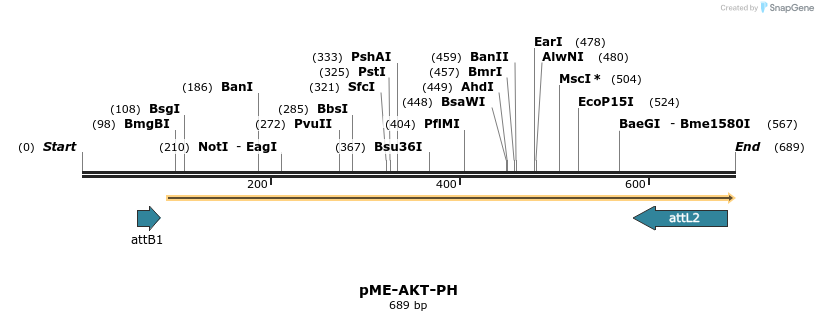 130351_map