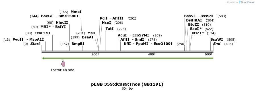 130353_map