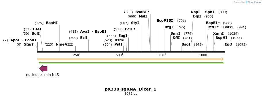 130361_map