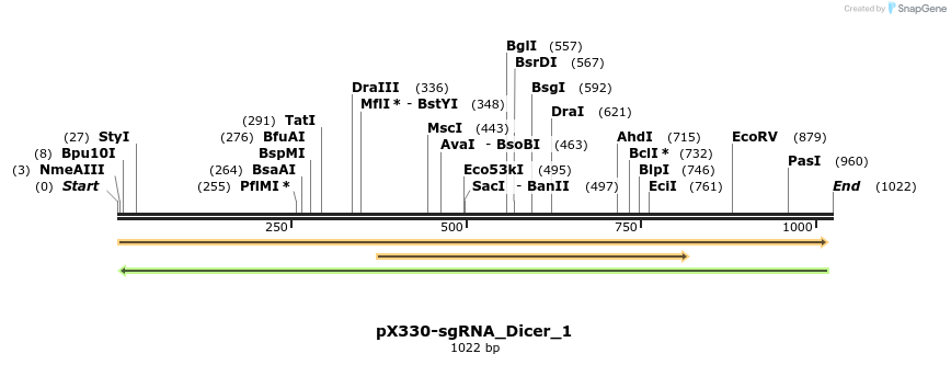 130362_map