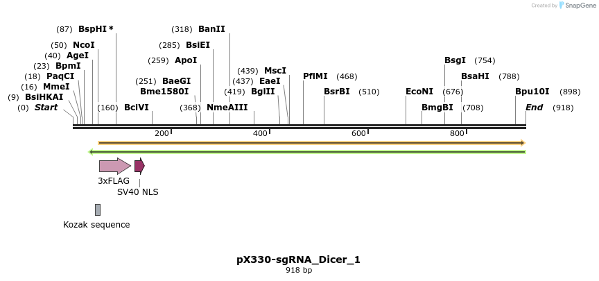 130363_map