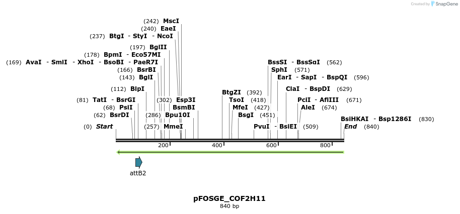130368_map